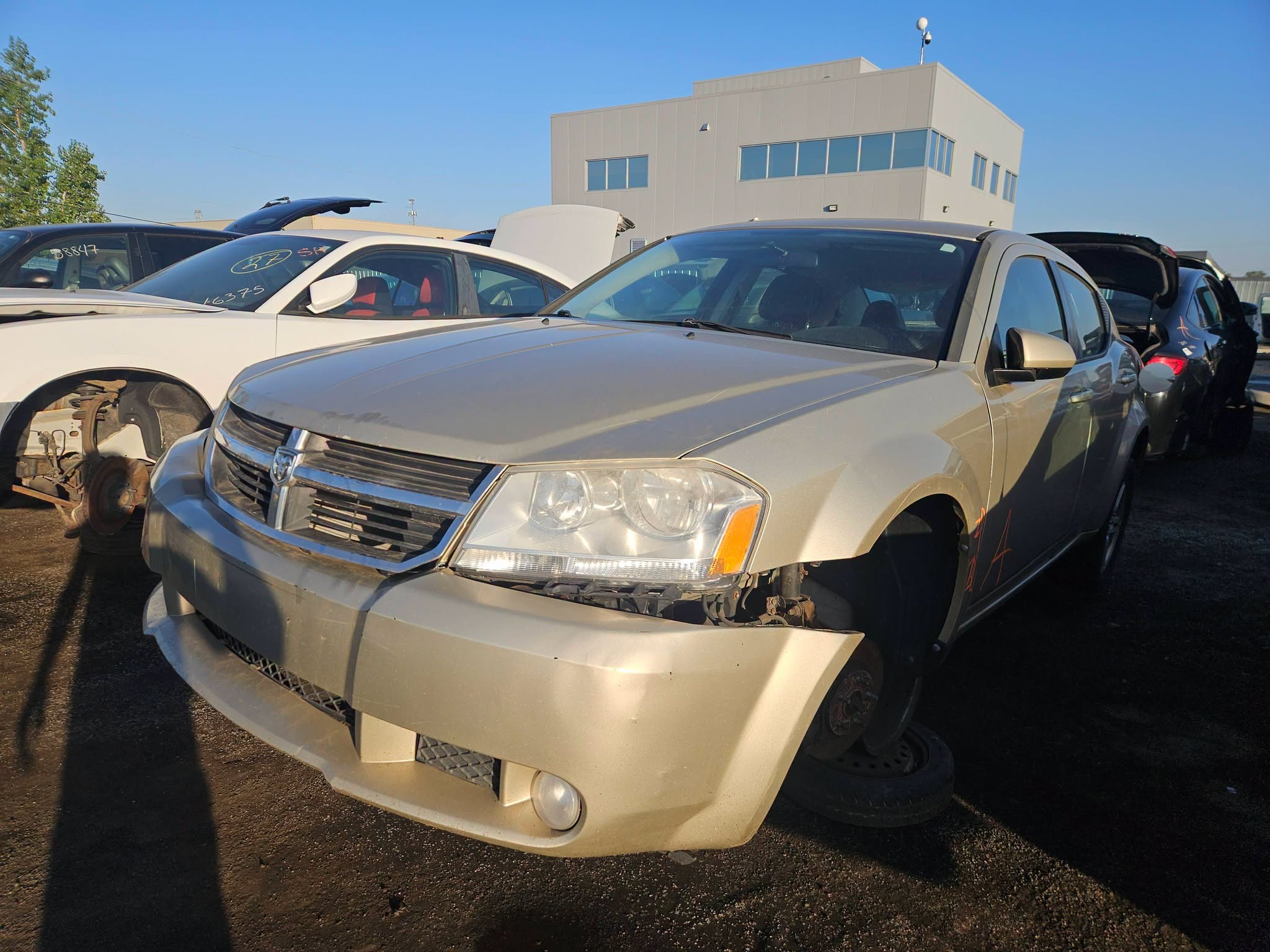 2010 Avenger