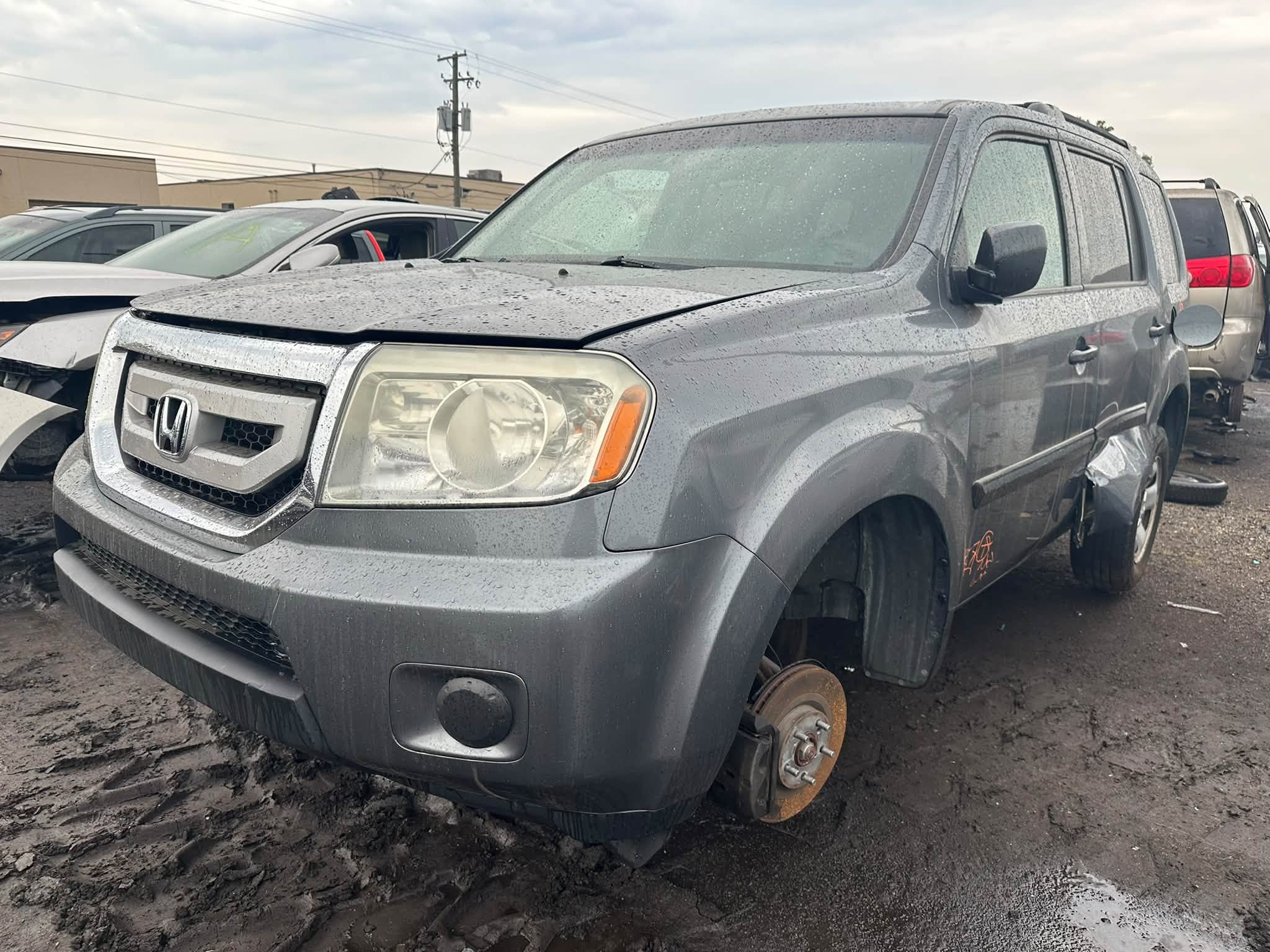 2011 Pilot