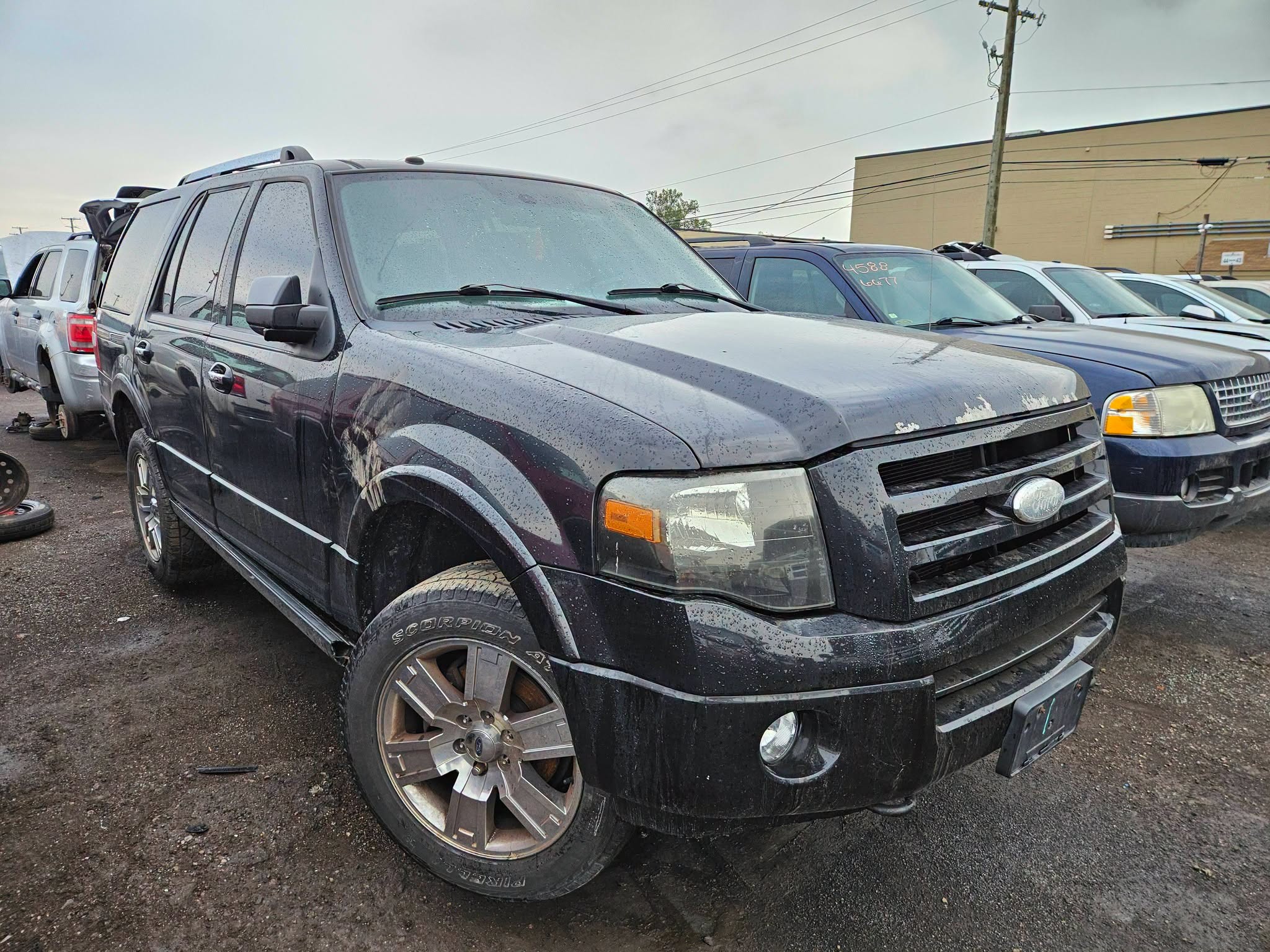 2010 Expedition