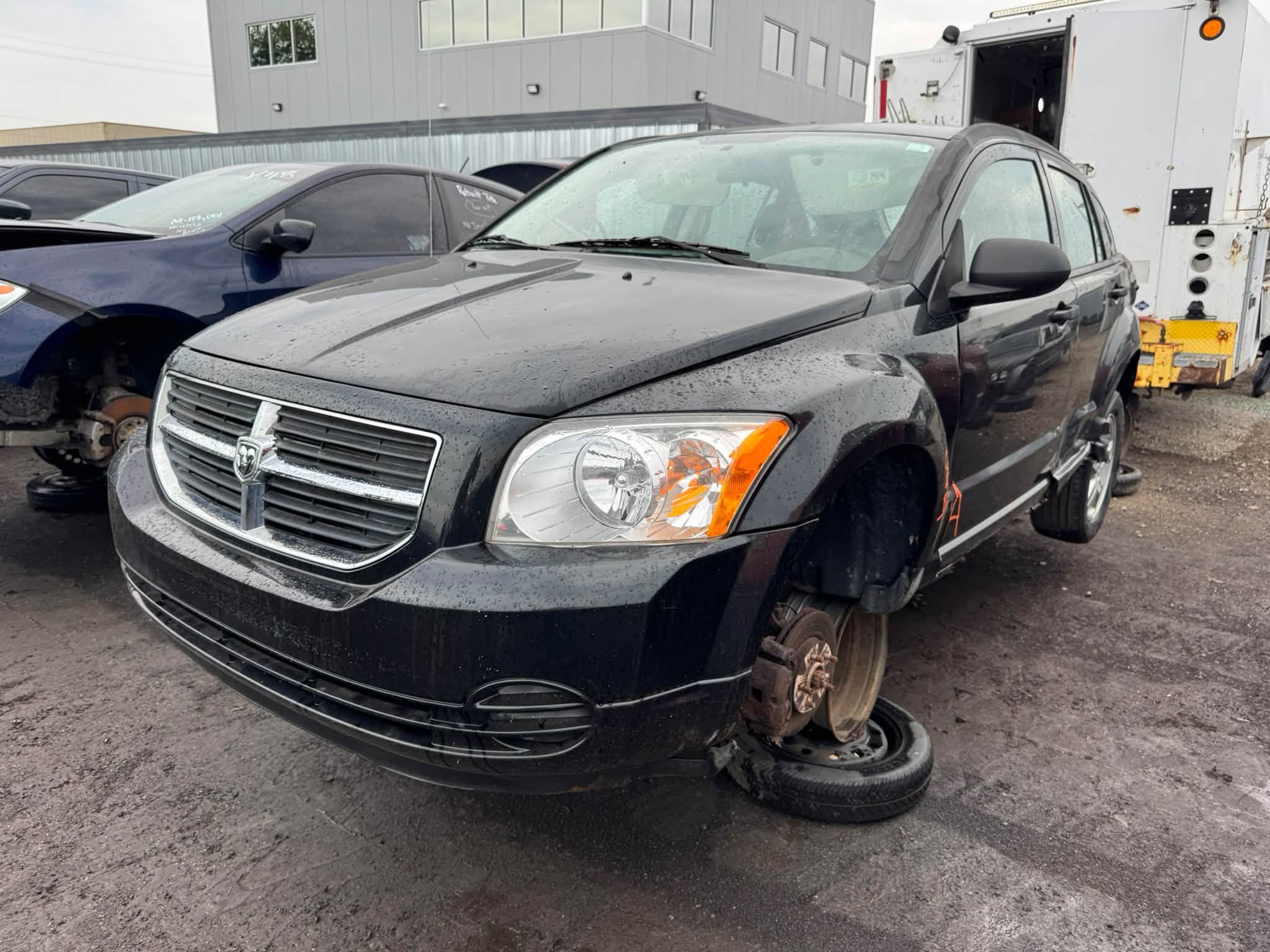 2008 Caliber