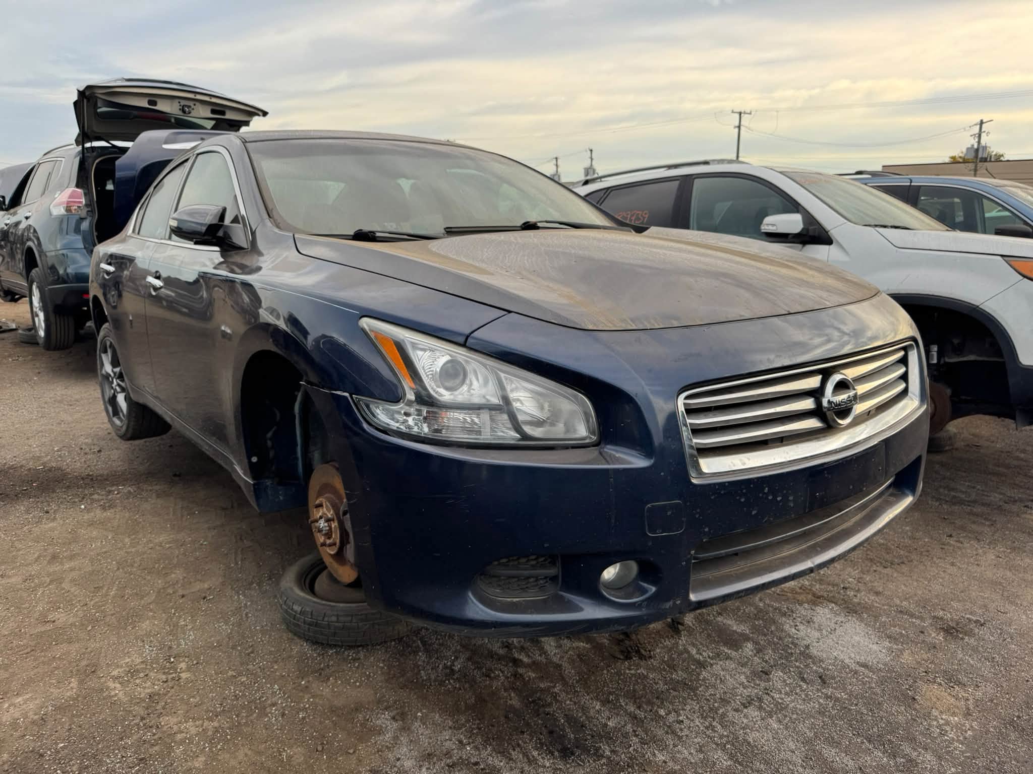 2014 Maxima