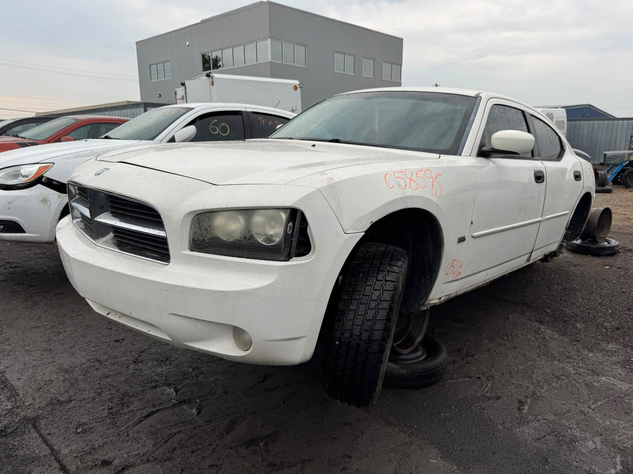 2010 Charger