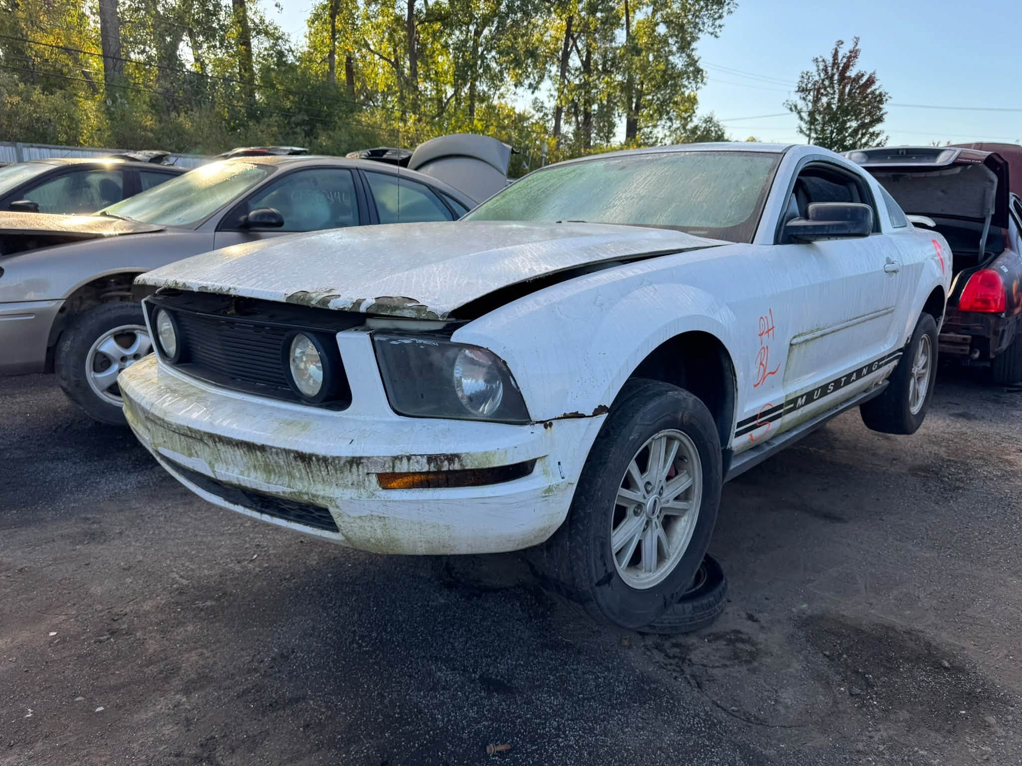 2005 Mustang
