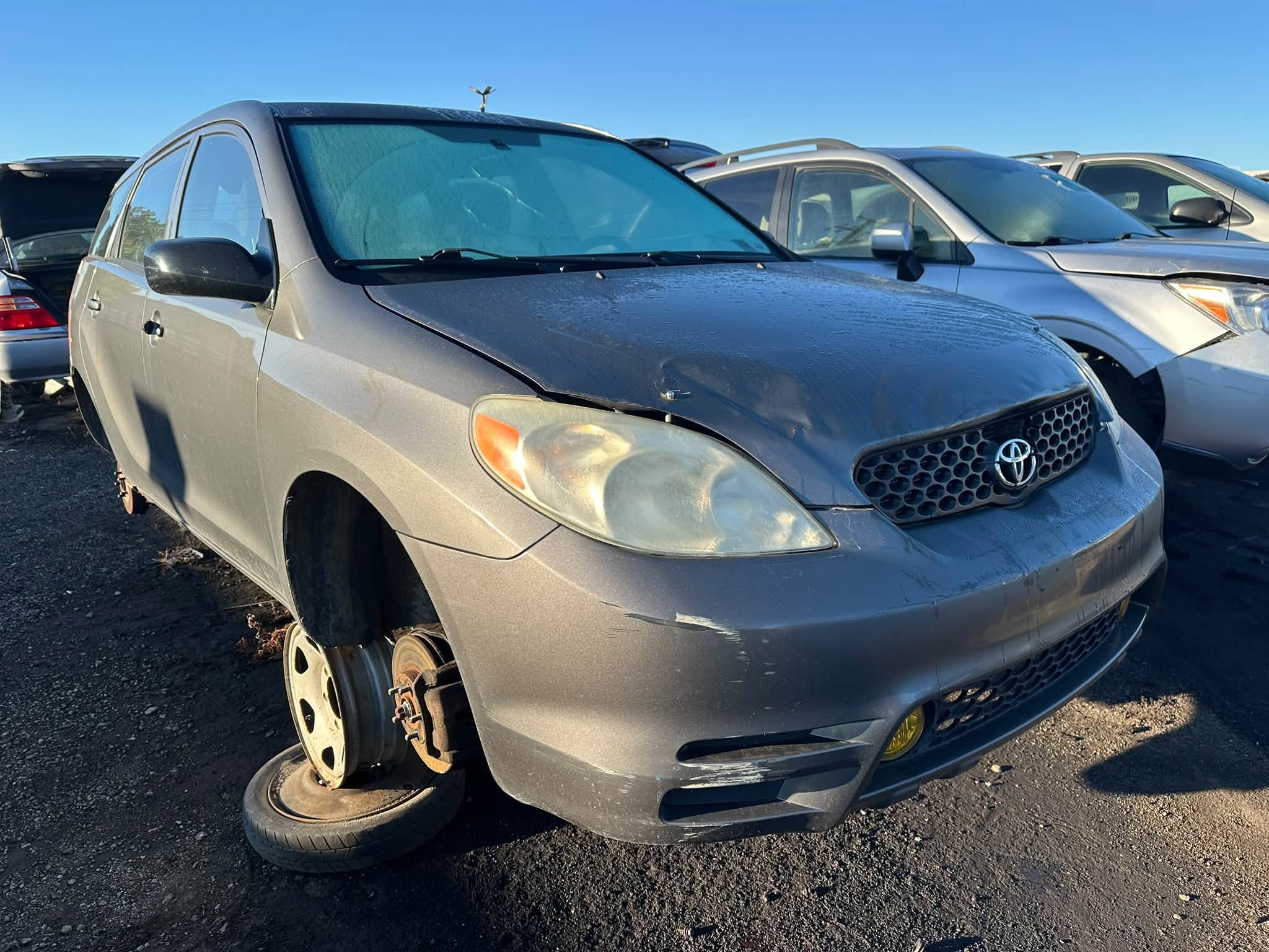 2004 Matrix