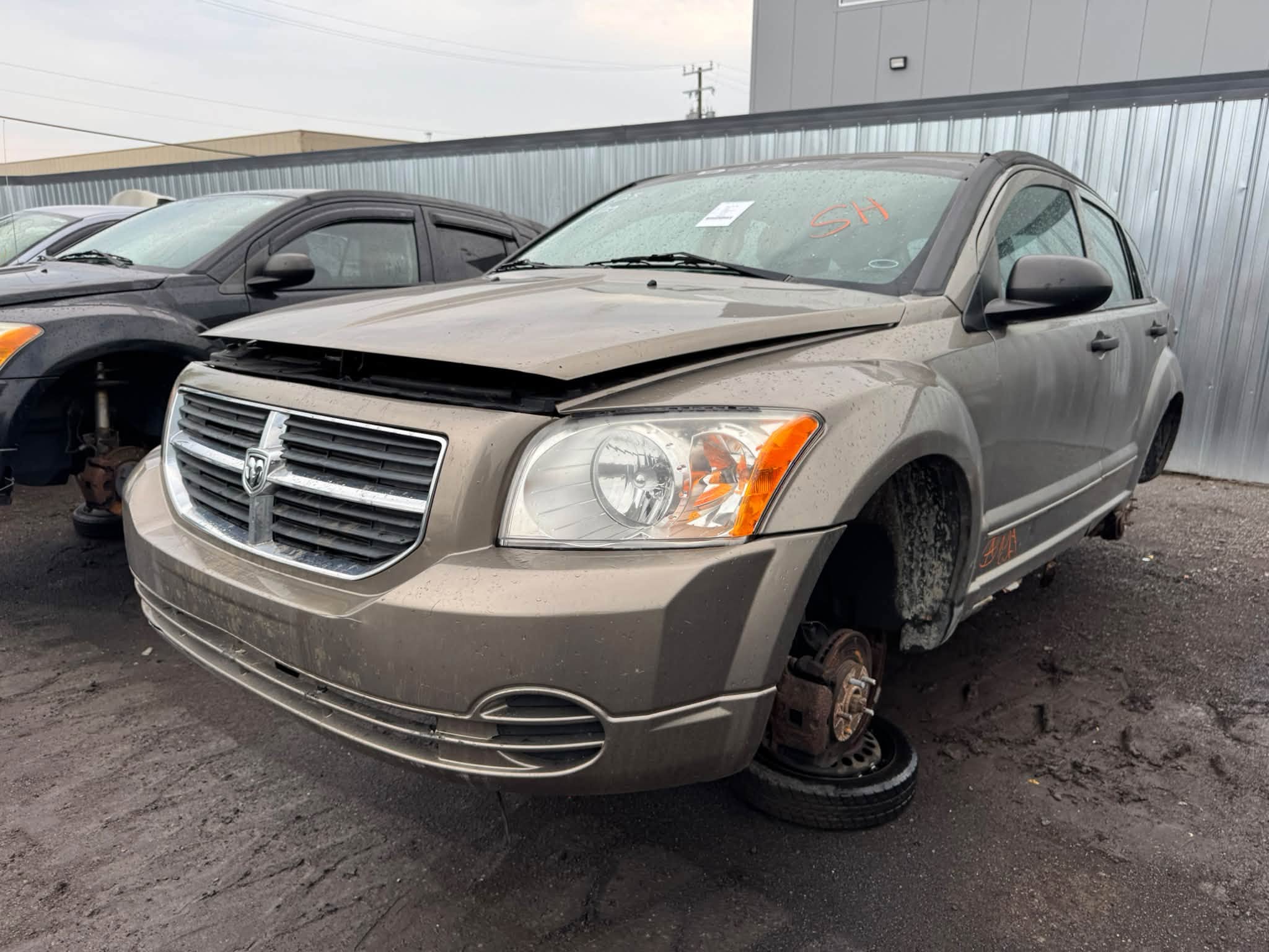 2008 Caliber