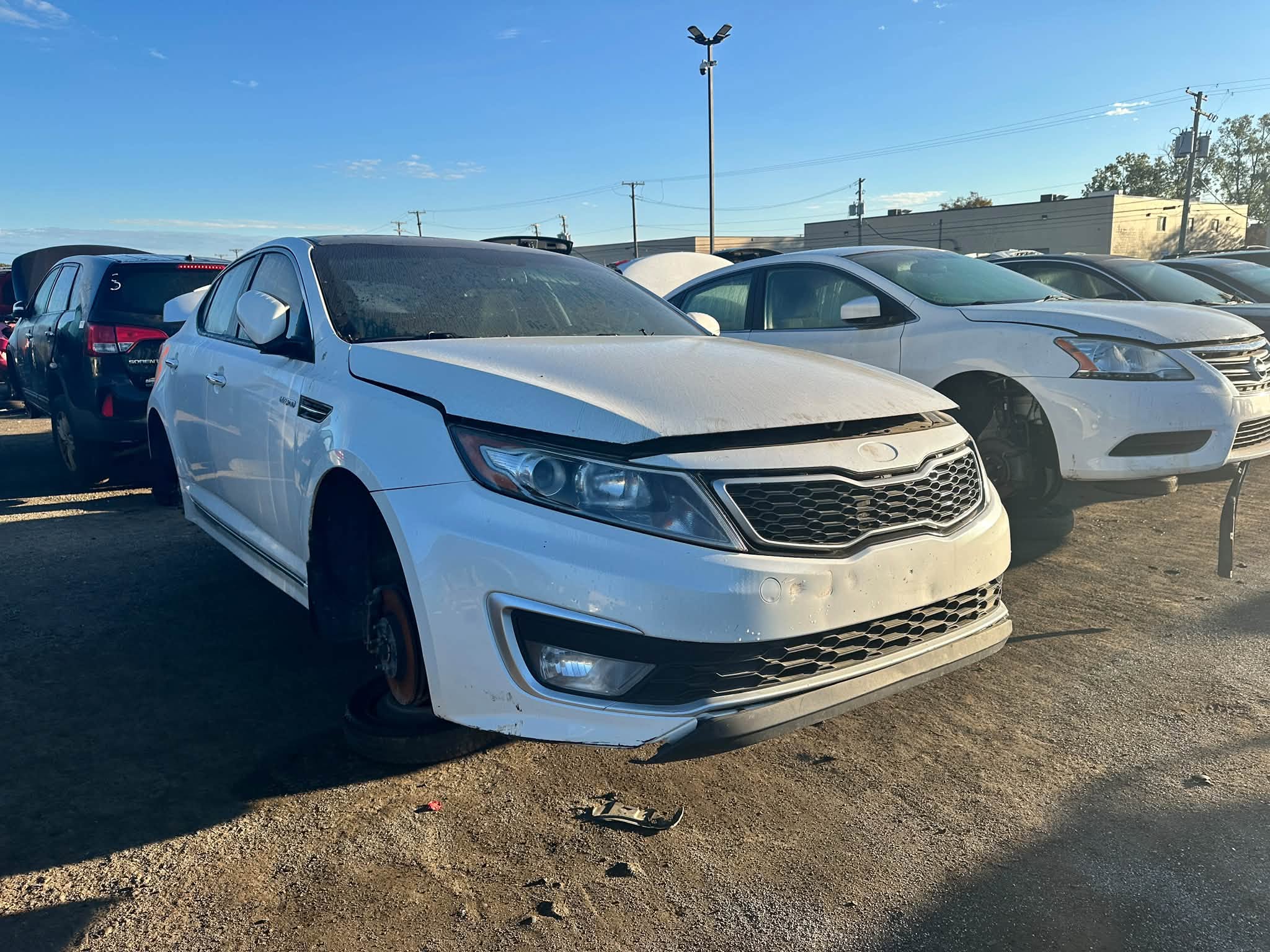 2013 Optima