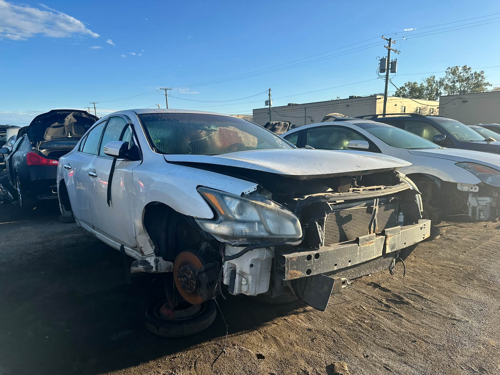 2012 Maxima