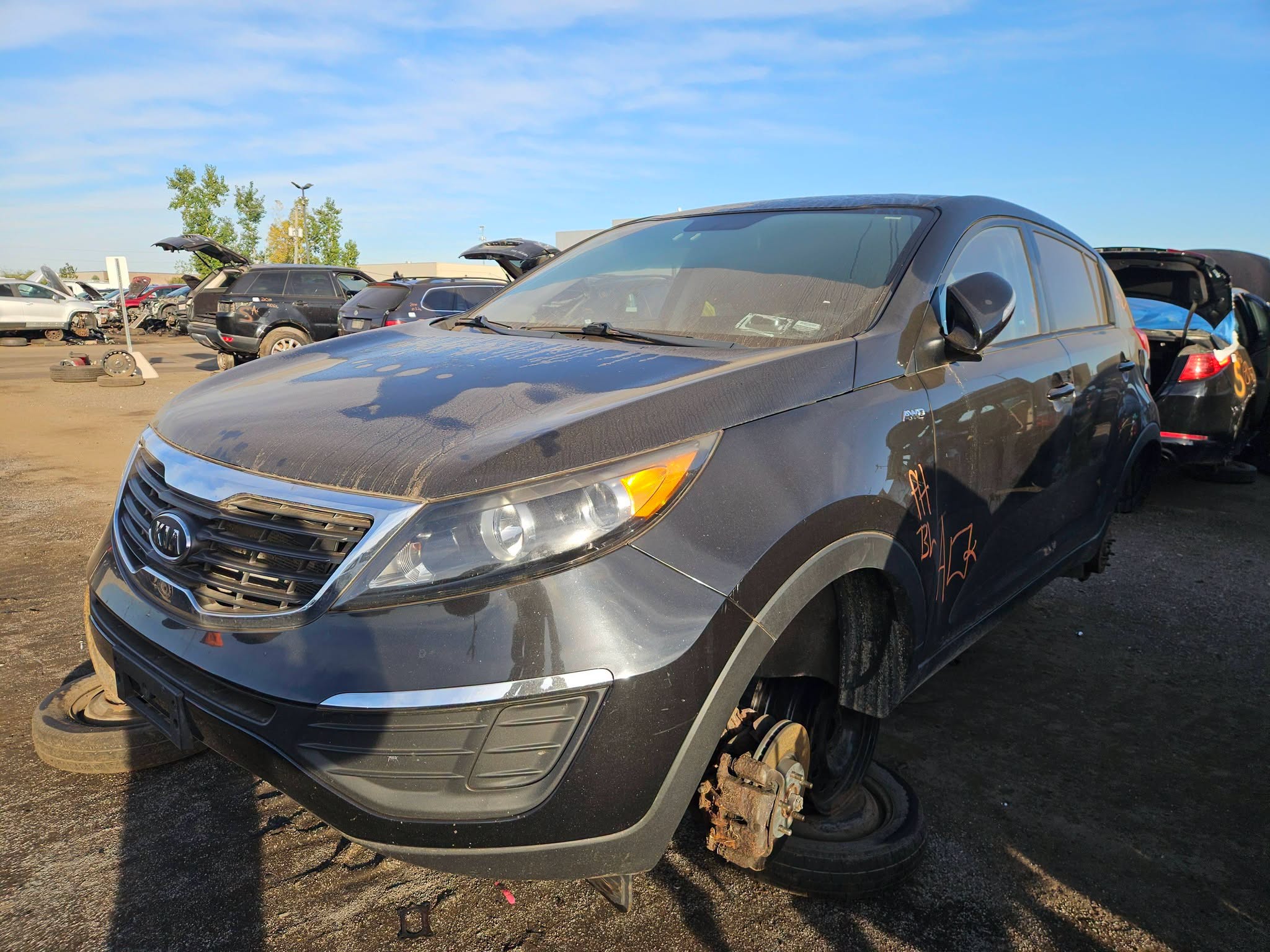 2011 Sportage