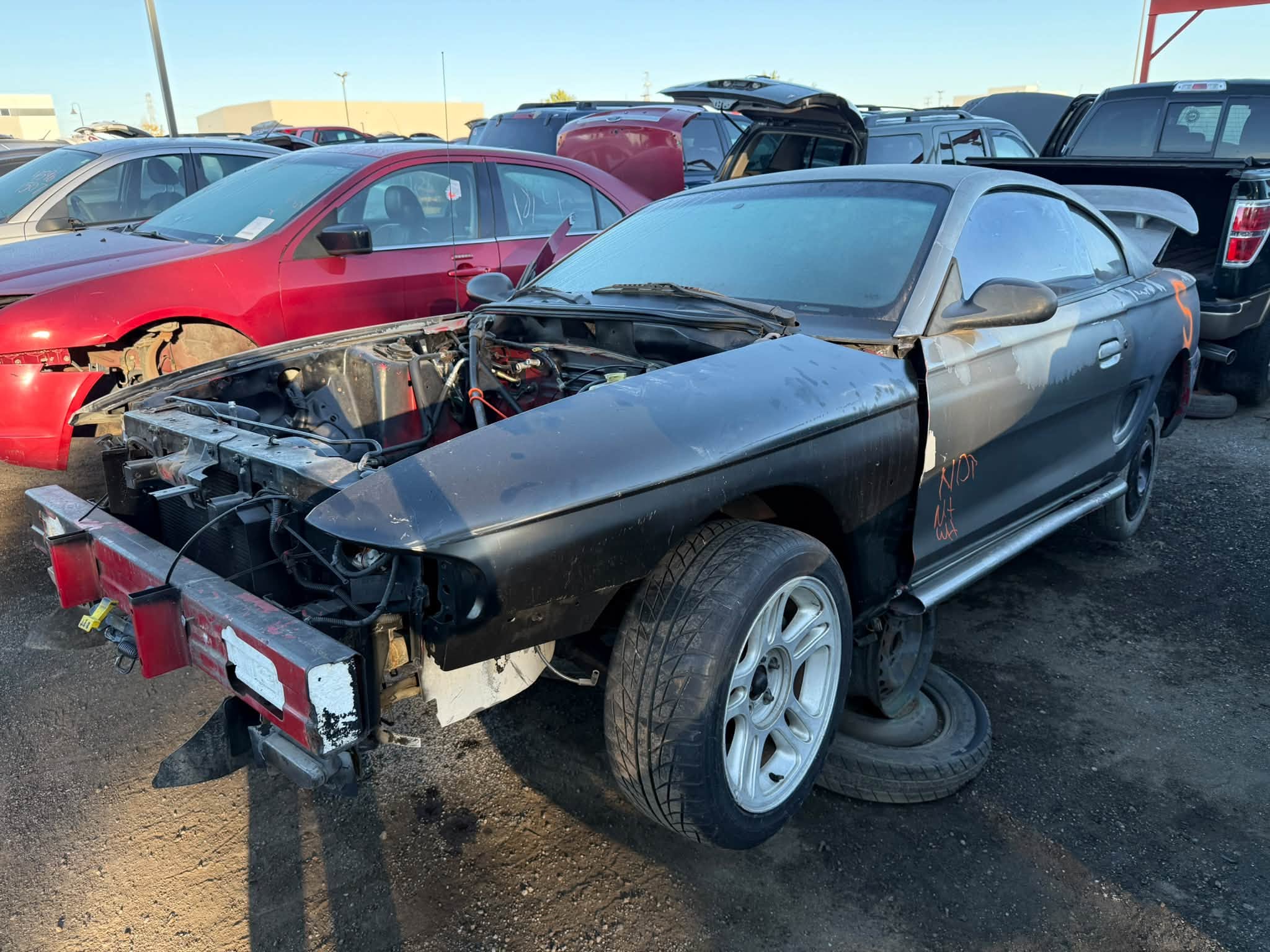 1996 Mustang