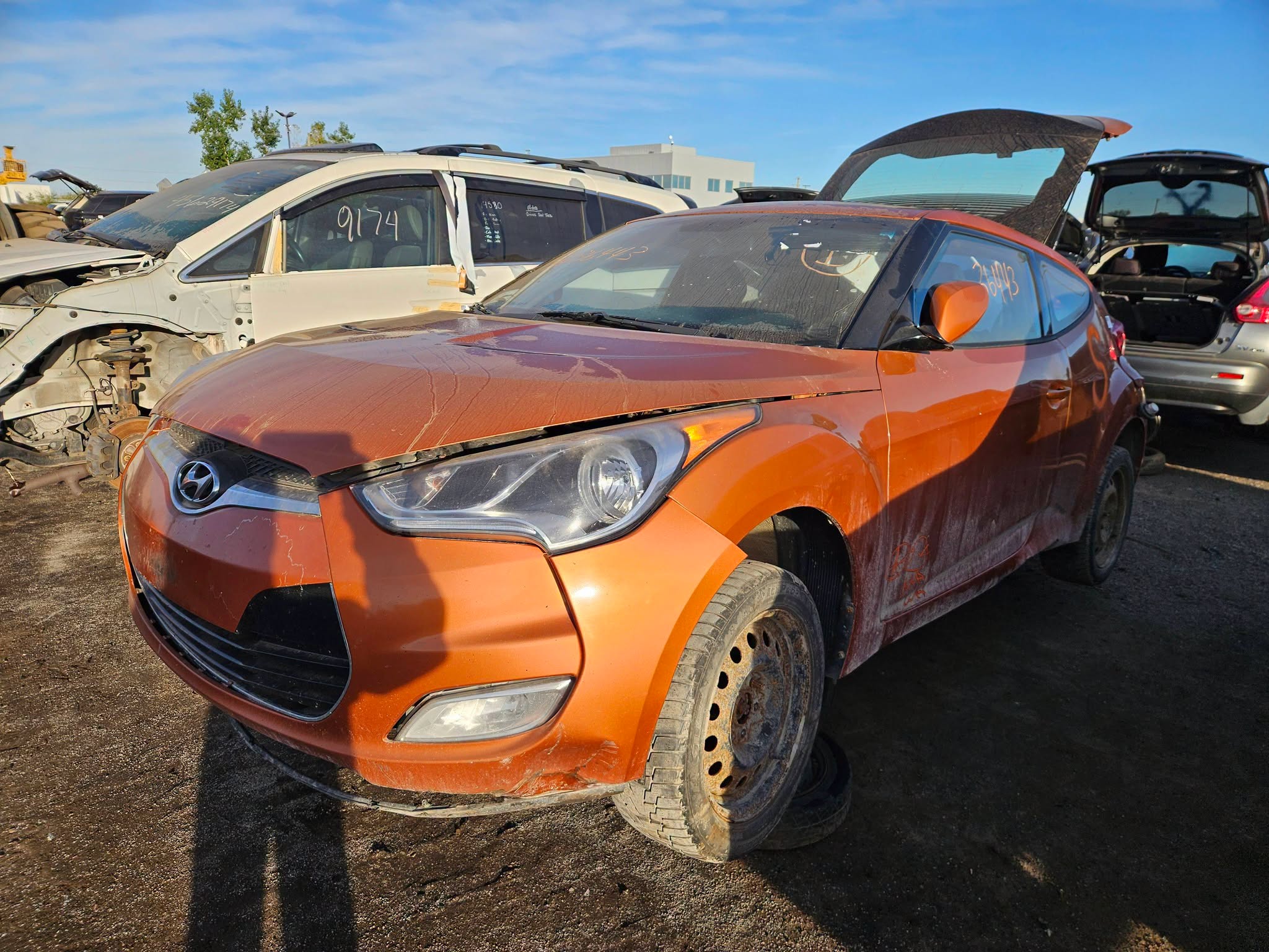 2012 Veloster