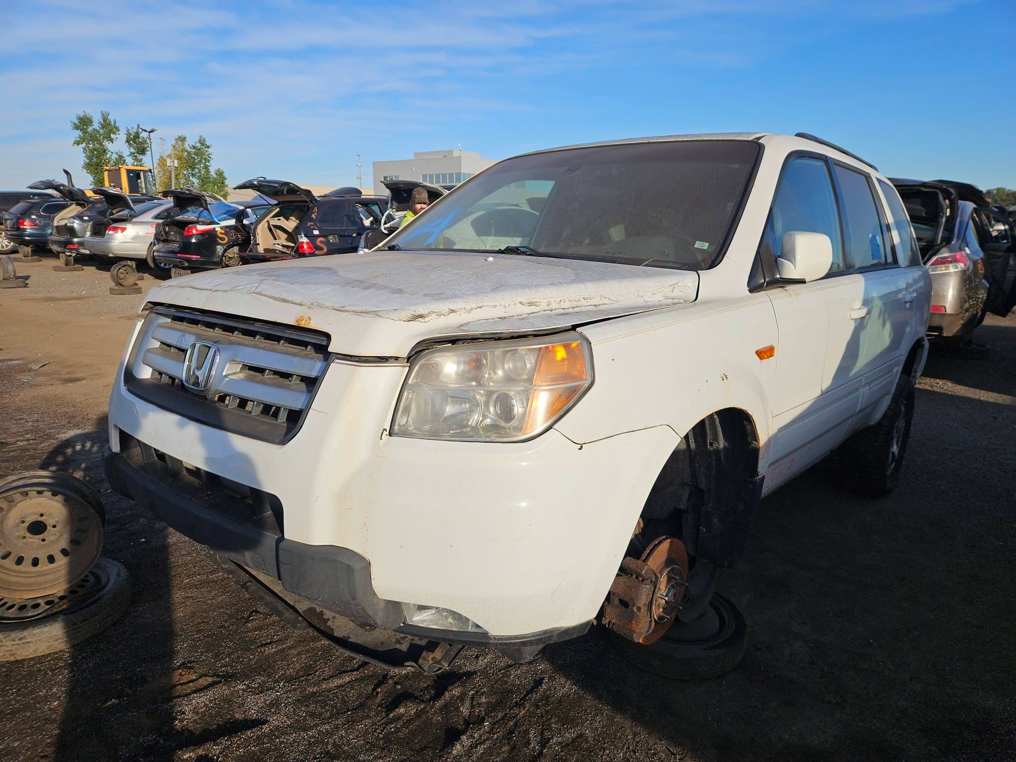 2006 Pilot