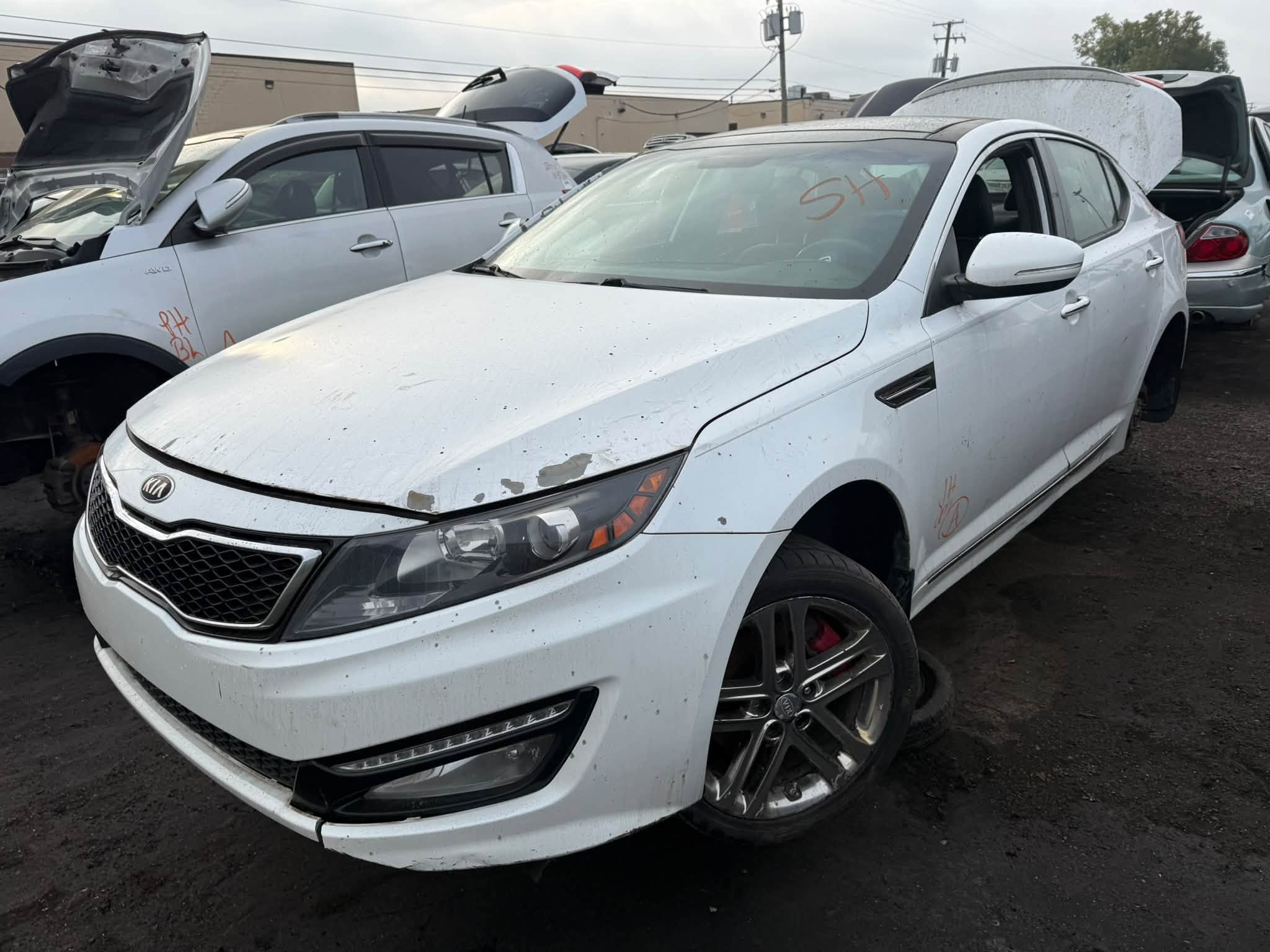 2013 Optima