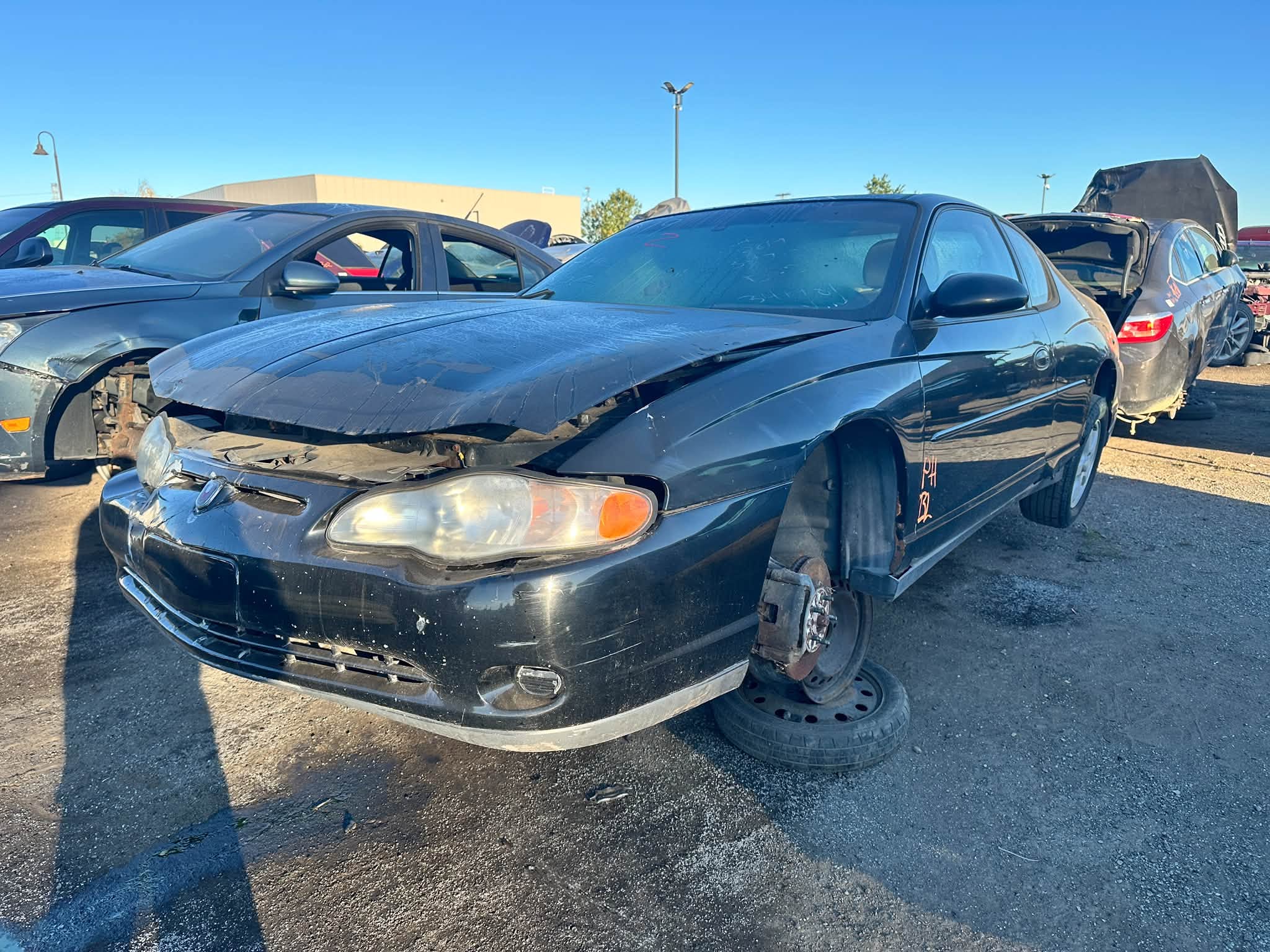 2003 Monte Carlo