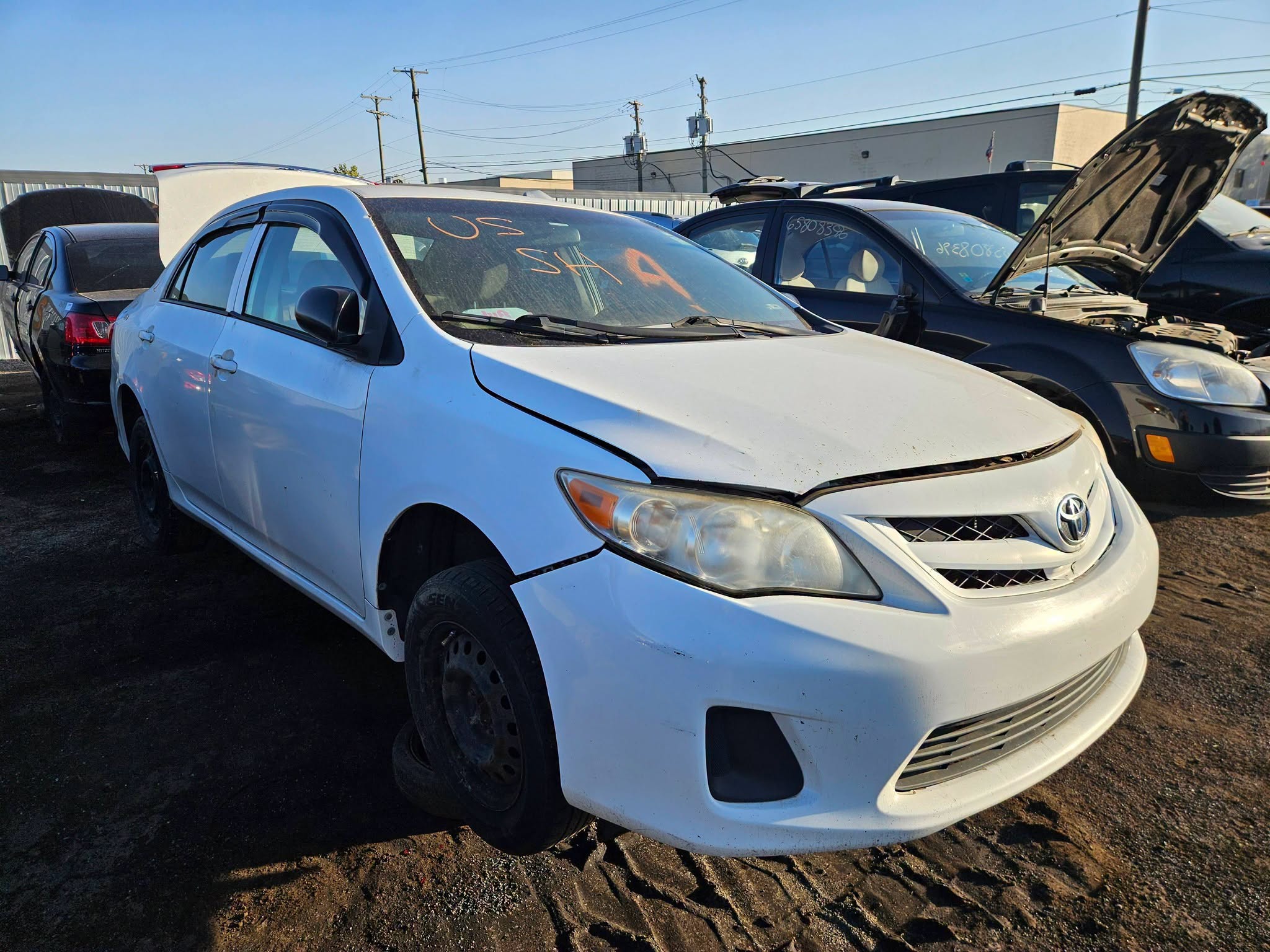 2011 Corolla