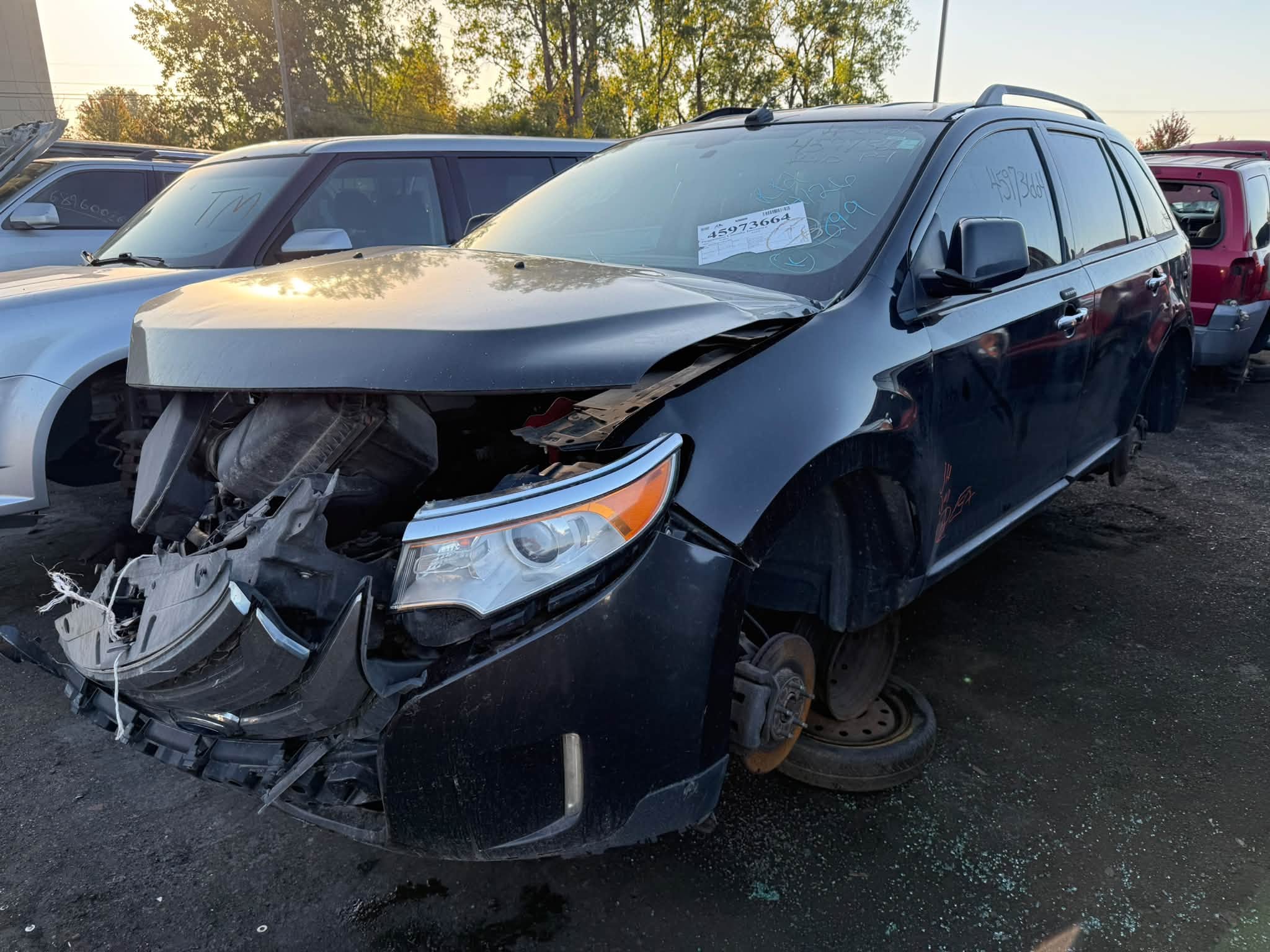 2011 Edge
