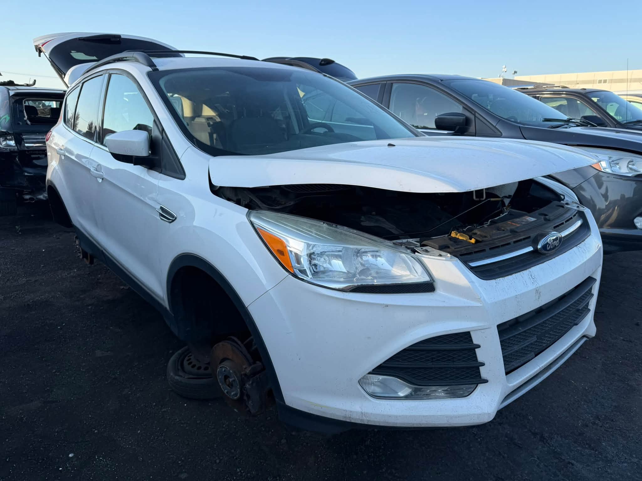 2013 Escape