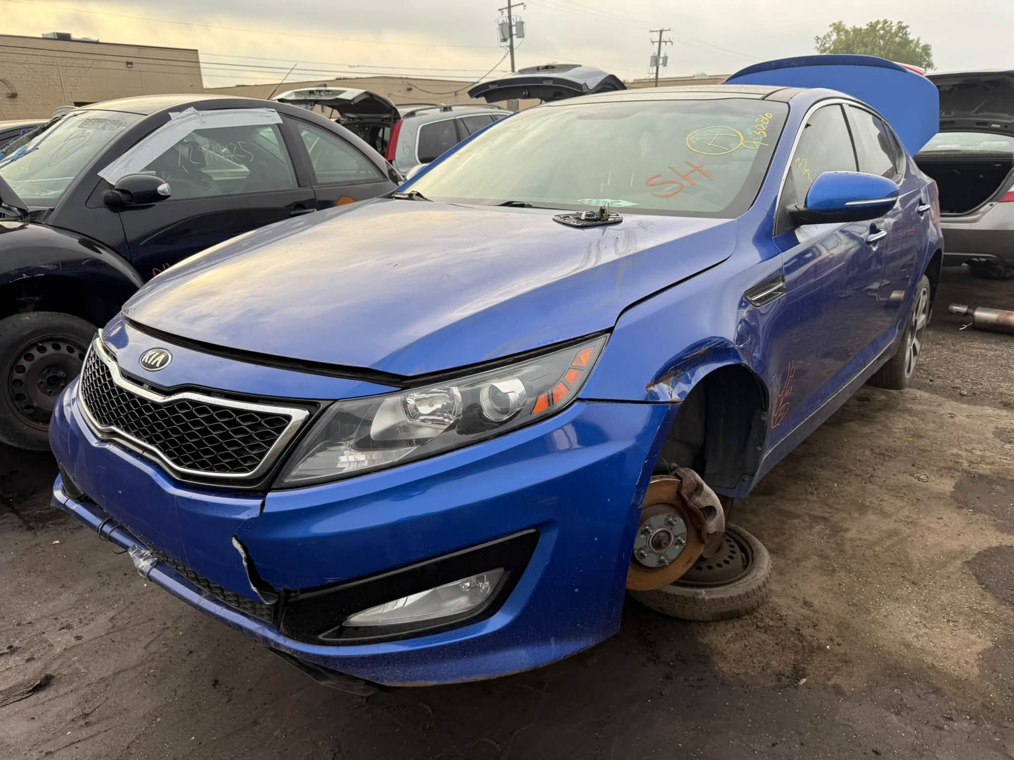 2013 Optima