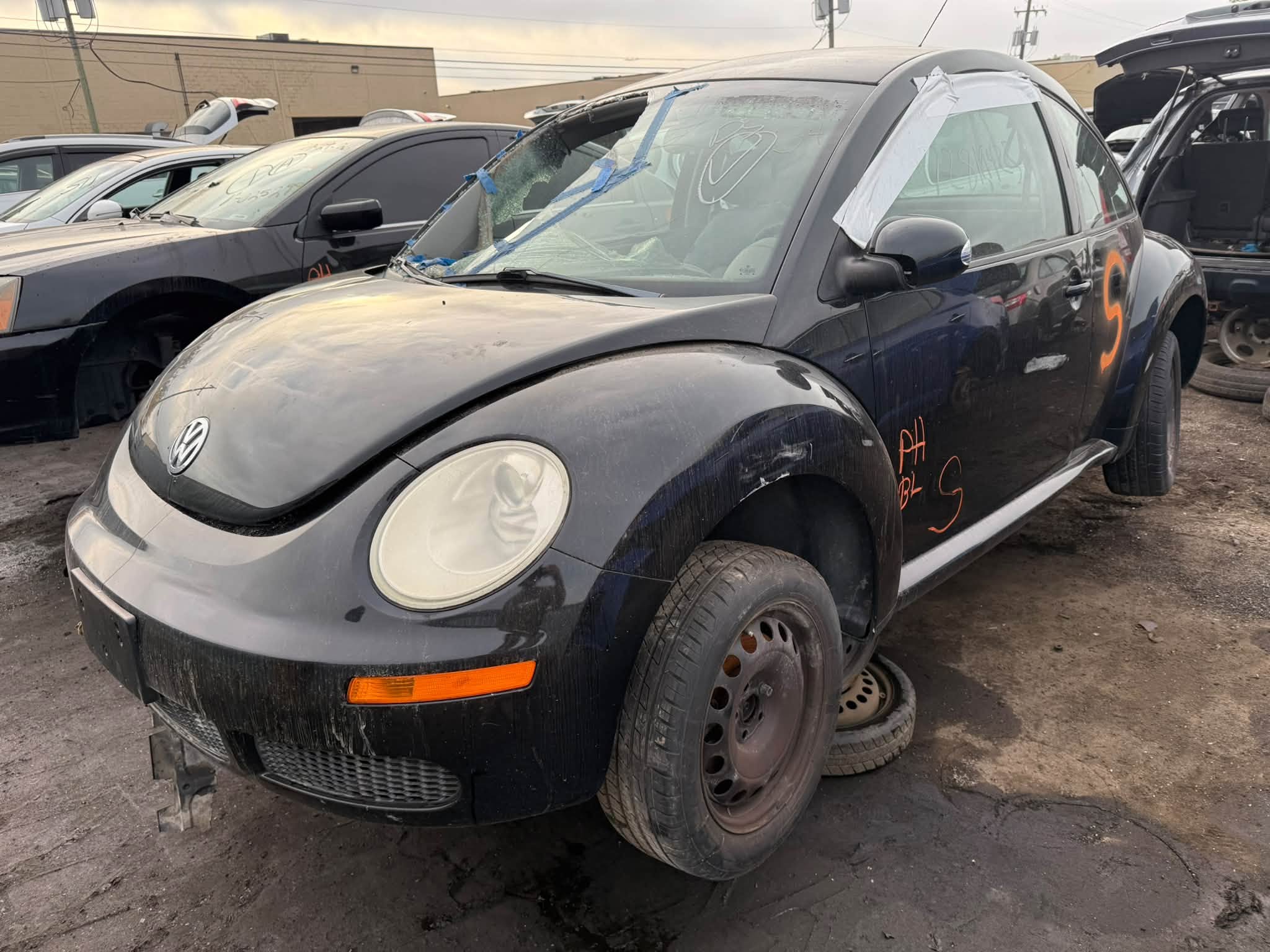 2010 NEW Beetle