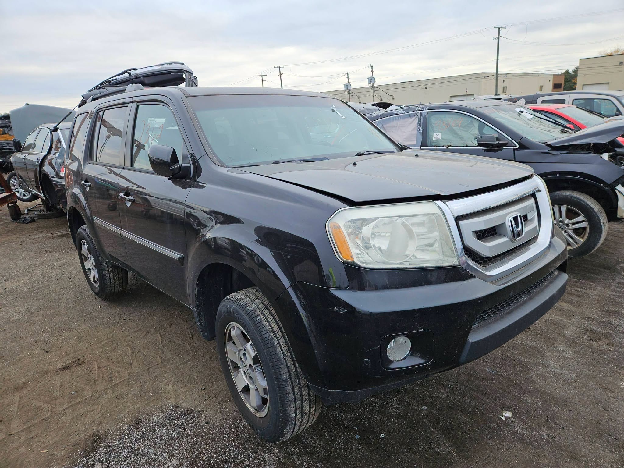 2011 Pilot