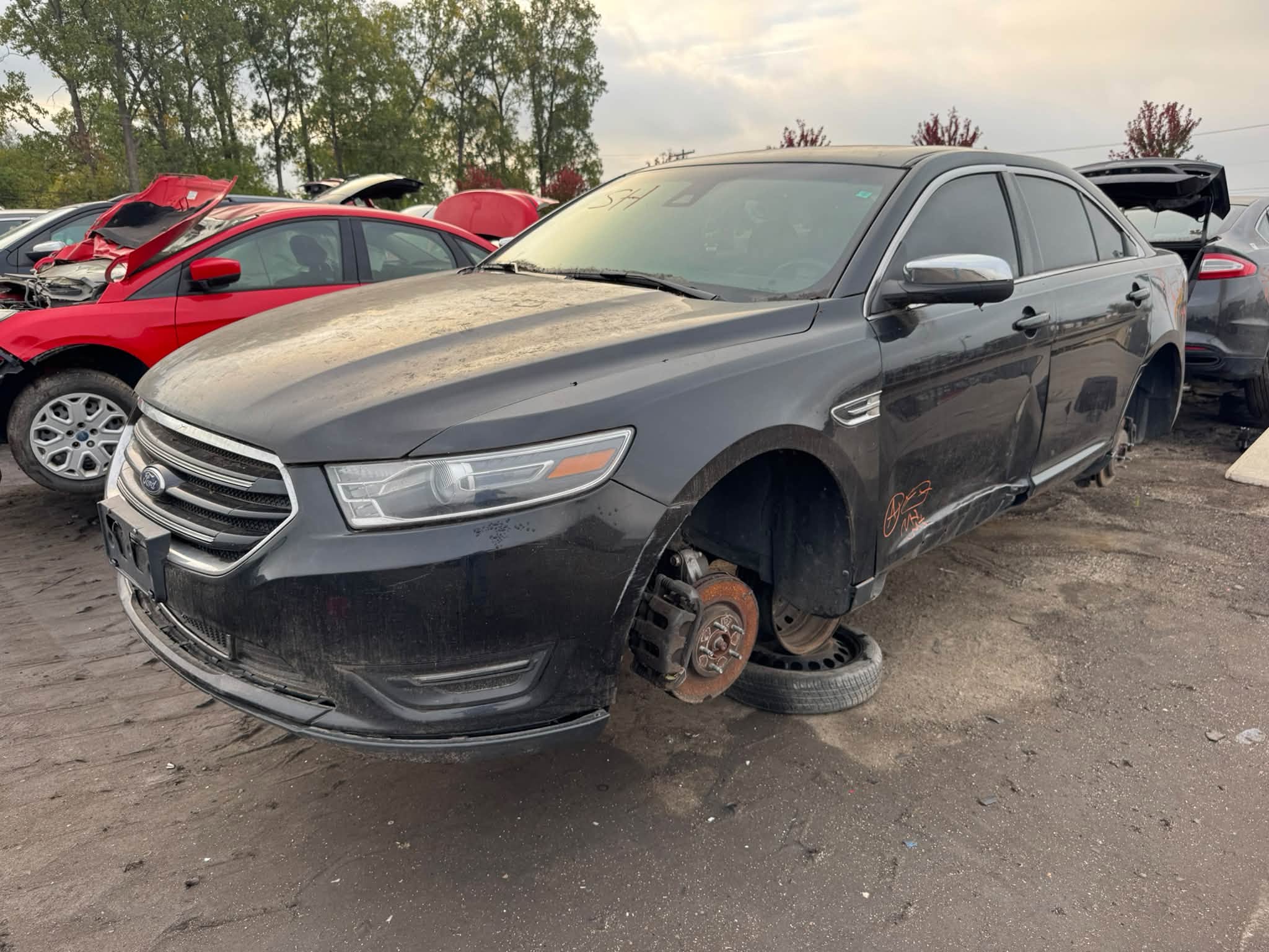 2019 Taurus