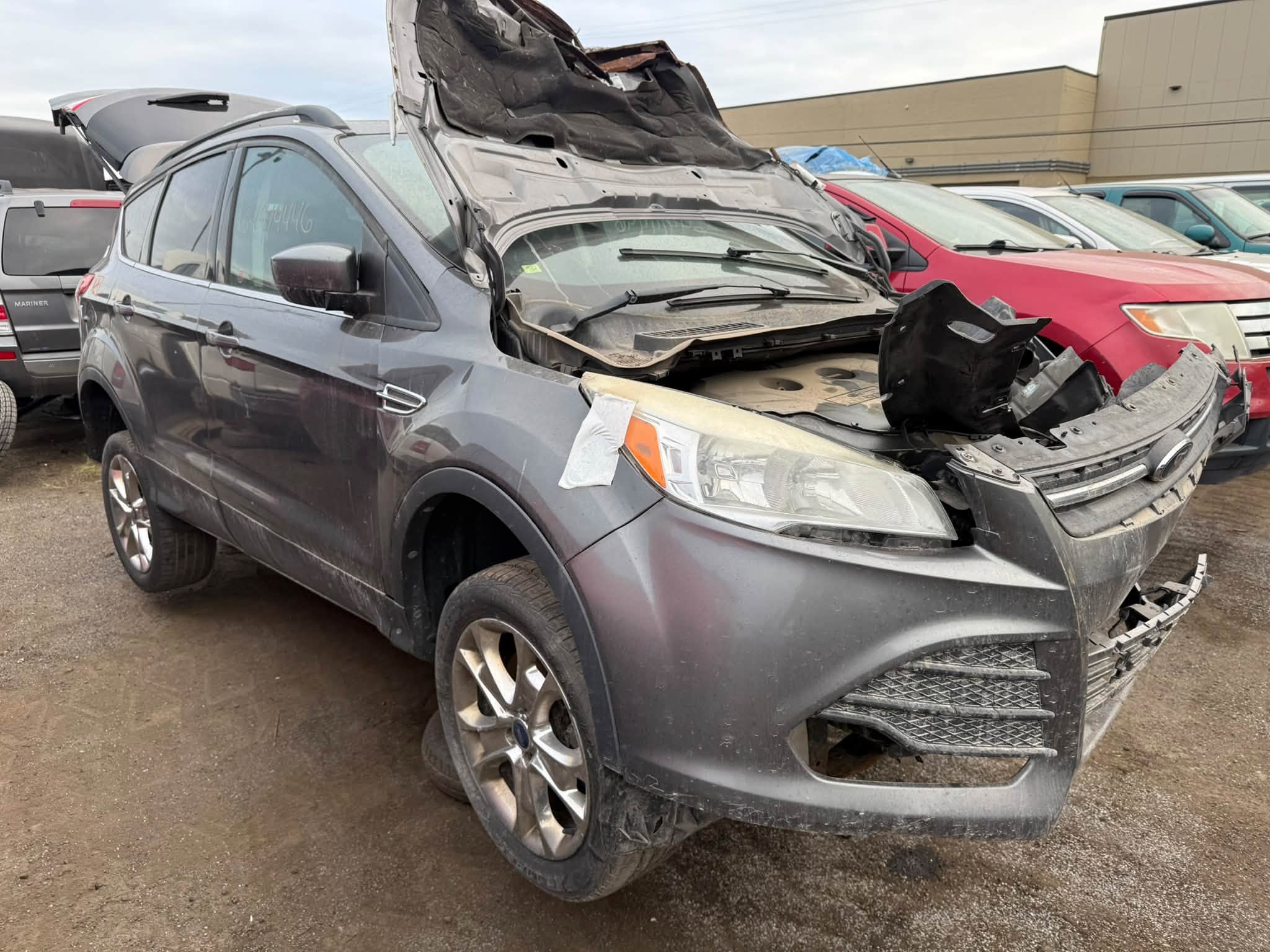 2014 Escape