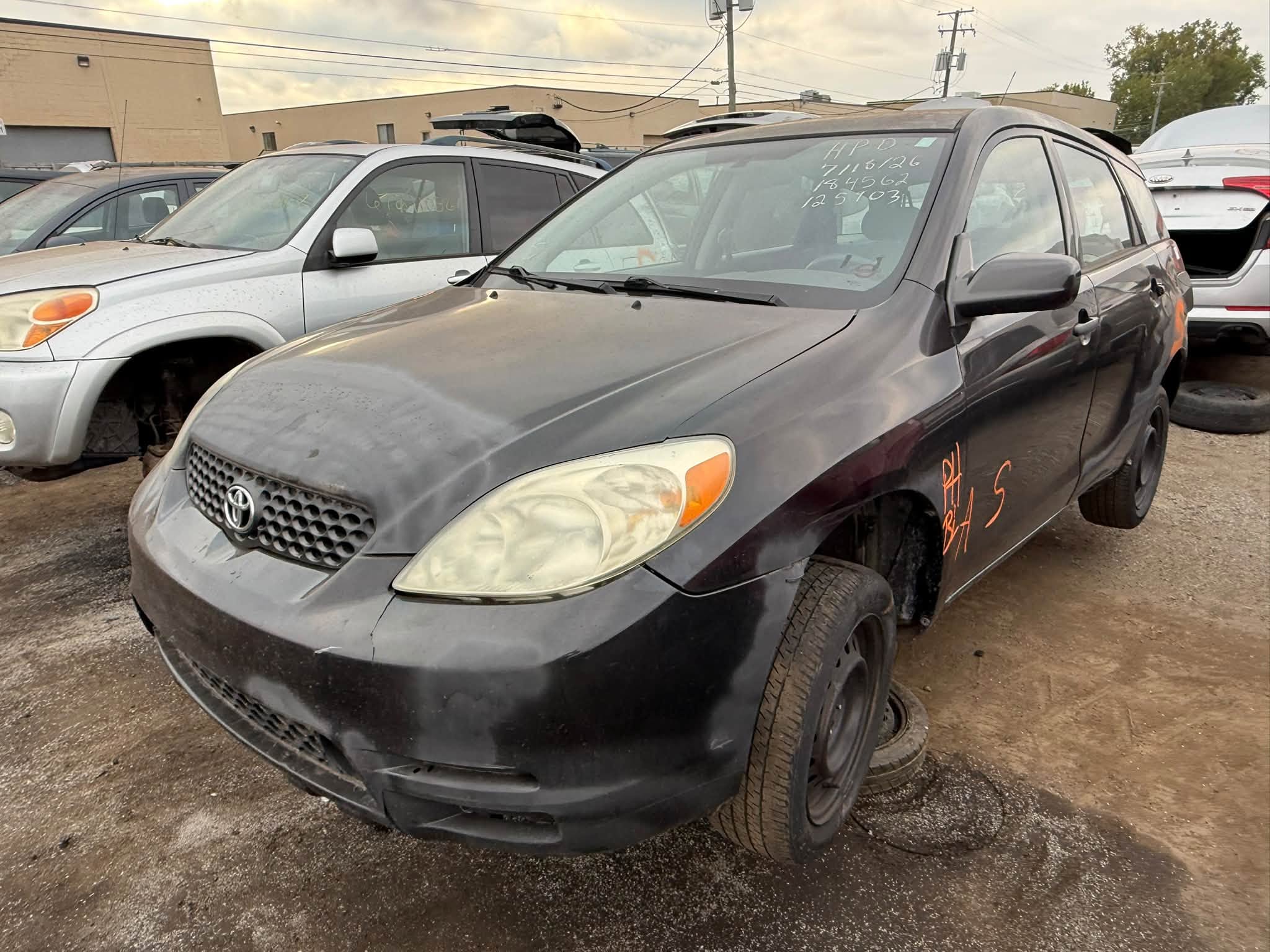 2004 Matrix
