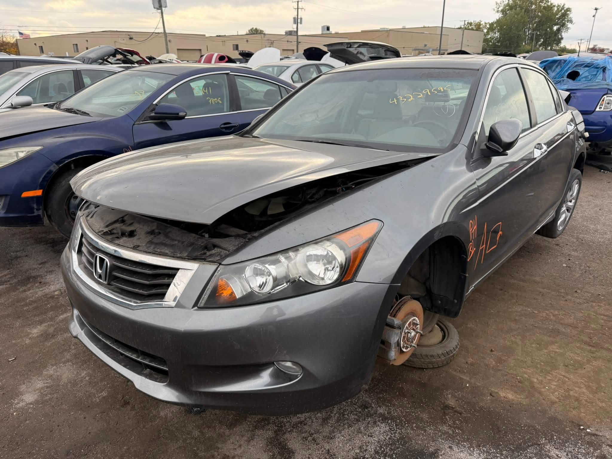 2009 Accord