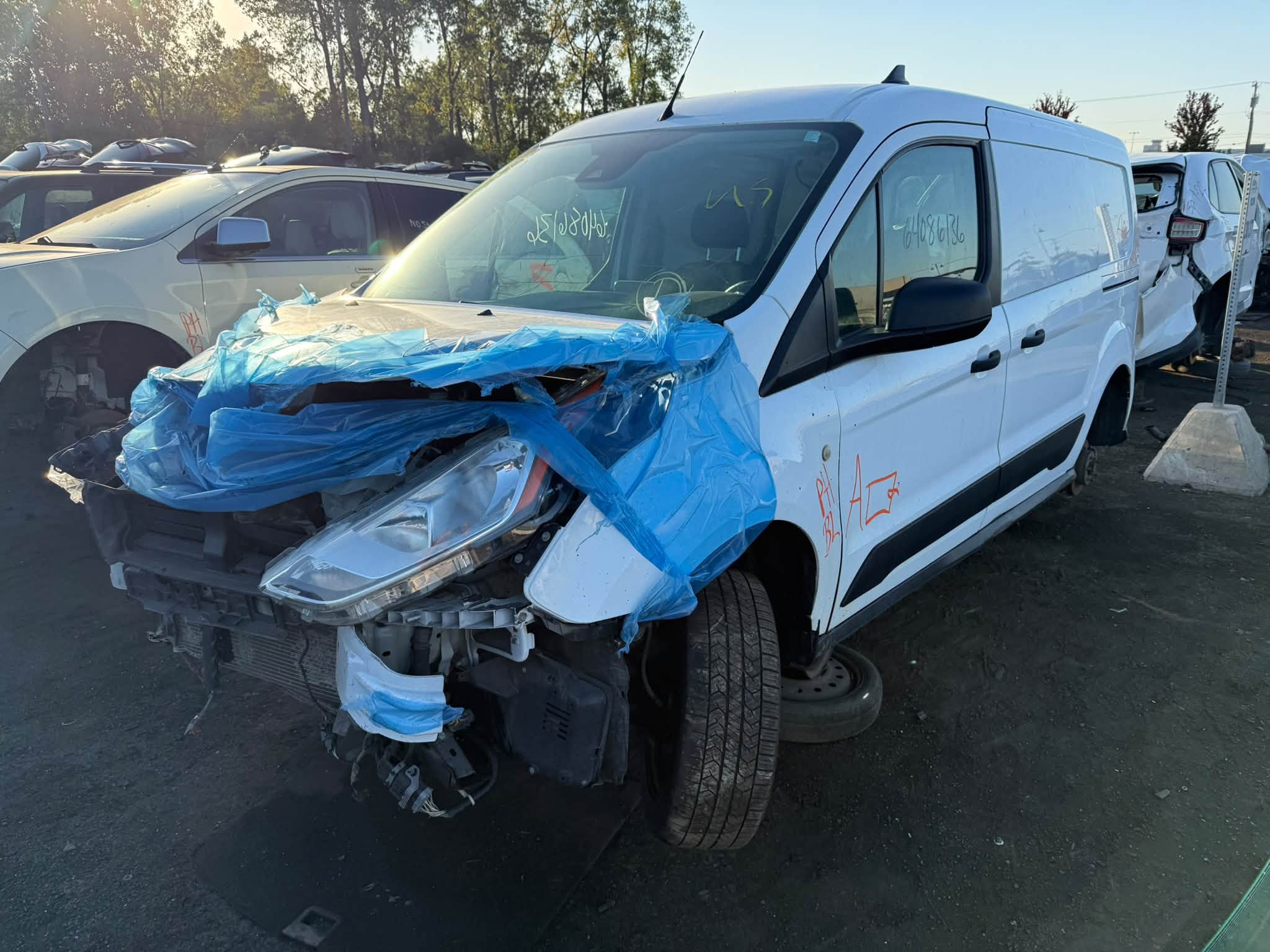 2019 Transit Connect